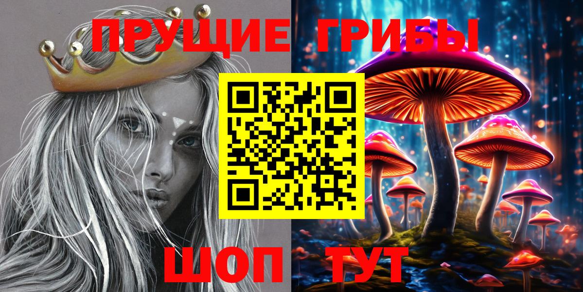 что такое наркотик  Вход с VPN  Псков  Псилоцибиновые грибы GOLDEN TEACHER  Псилоцибиновые грибы MAGIC MUSHROOMS 