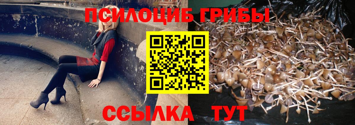 Псилоцибиновые грибы Magic Shrooms Псков